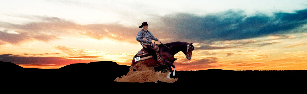 Loomans quarterhorses